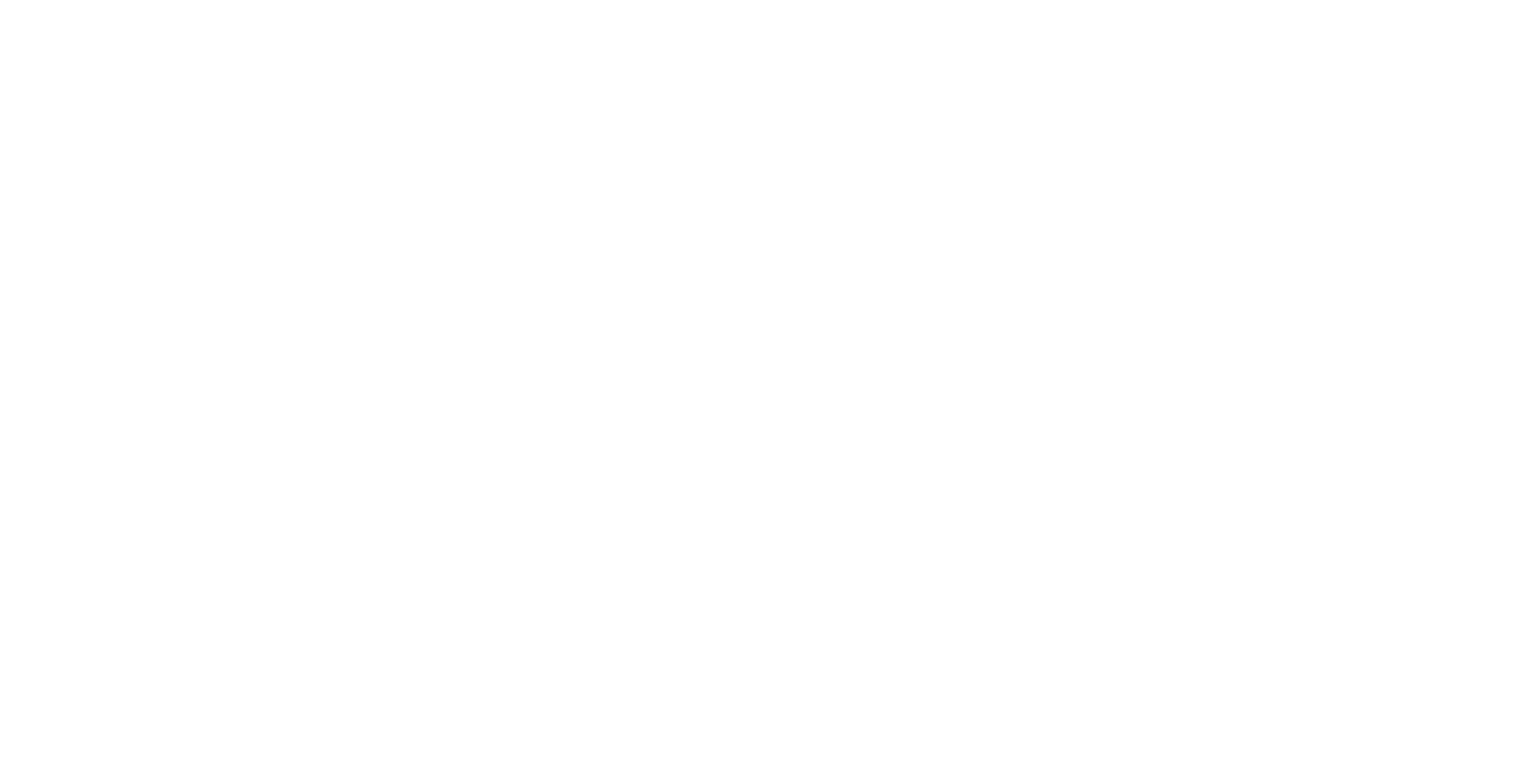 Logo VFB Academy