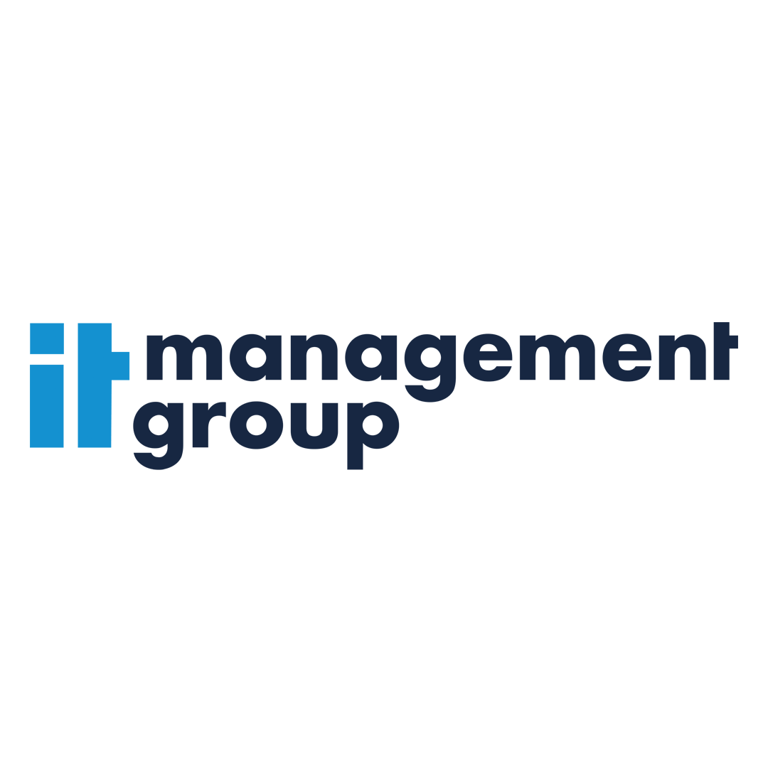 Logo IT Management group